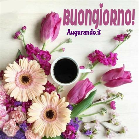 auguri di buon giorno gratis per whatsapp|buon giorno immagini da stampare.